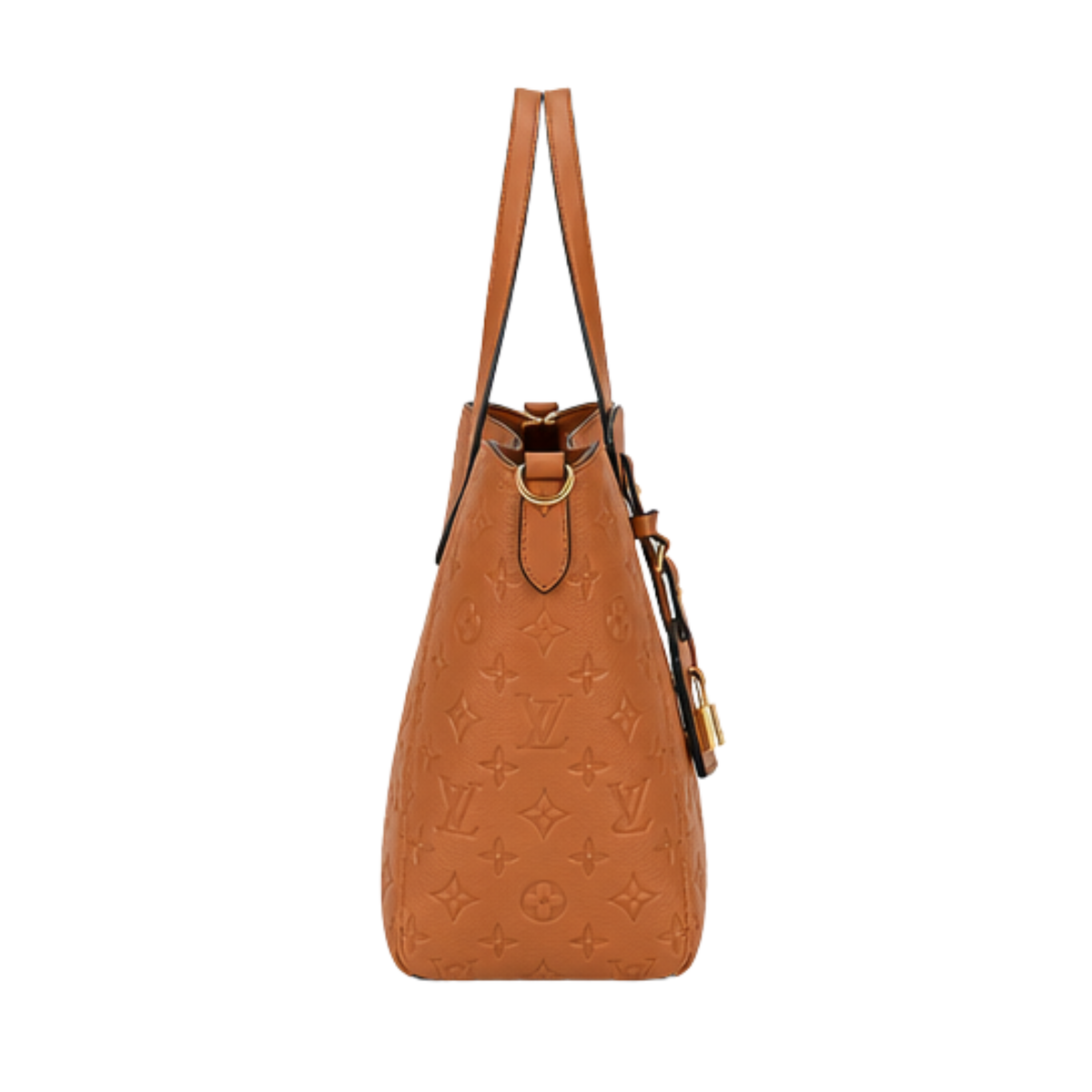 Louis Vuitton Bag | PM Tote Camel