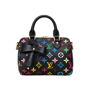 Louis Vuitton X Takashi Murakami Speedy Black Multicolor Monogram Bag